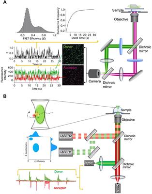 Frontiers | Single-Molecule FRET: A Tool To Characterize DNA Nanostructures